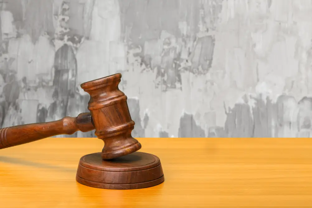 How Tender & Bid Management Software Simplifies Government and Private Tenders